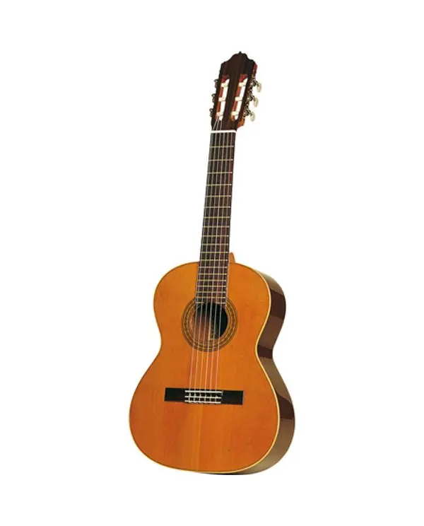 Guitare classique acoustique Nouveauté