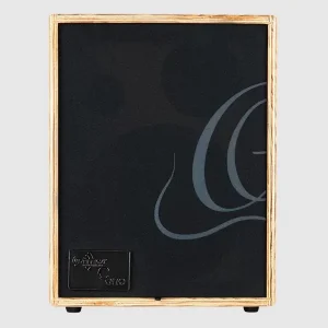 Ampli Guitare électro-acoustique Bon Plan