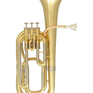 Baryton - Basse Prix Choc
