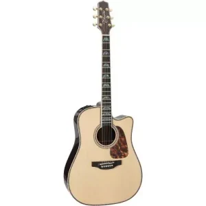 10 - DREADNOUGHT CUTAWAY P10DC Jusqu'à Épuisement Des Stocks