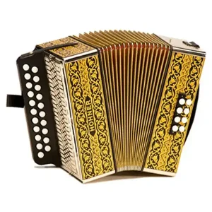 Livraison Express HOHNER 2915 G/C ACCORDEON DIATONIQUE 2 RANGS 2 VOIX