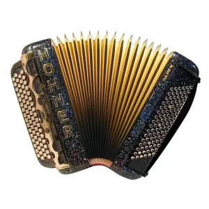 HOHNER FUN PRO 120 BASSES ACCORDEONS CHROMATIQUE BOUTON NOIR MIRRA Offre Limitée