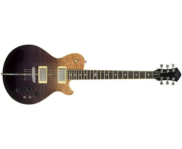 Super Prix PATRIOT INSTINCT SB MOD SHOP DUNCAN (SLIM BODY)