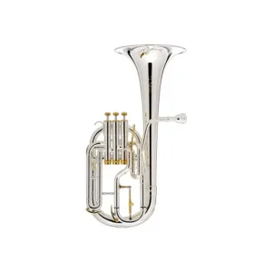 BESSON BE2050 PRESTIGE ALTO PRO MIB VERNI AVEC ETUI Seulement Aujourd'hui