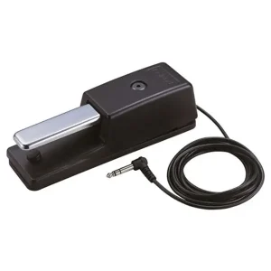 Achetez Aujourd'hui ROLAND DP-10 PEDALE SUSTAIN DE LUXE
