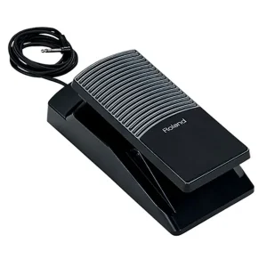 ROLAND EV-5 PEDALE D‘EXPRESSION CLAVIER Achat Immédiat