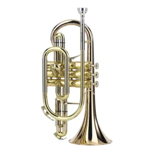 BESSON BE2028 PRESTIGE CORNET PRO SIB VERNI AVEC ETUI Affaire À Saisir