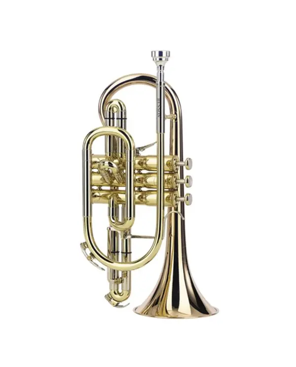 BESSON BE2028 PRESTIGE CORNET PRO SIB VERNI AVEC ETUI Affaire À Saisir