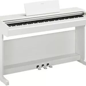 Offre Exclusive YDP145 WHITE 88 TOUCHES