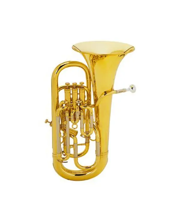 Remise BESSON BE2051 PRESTIGE EUPHONIUM PRO SIB VERNI AVEC ETUI