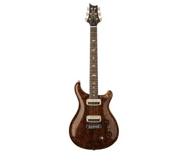 Dernier Modèle PAUL‘S GUITAR MANGO TOP LTD TIGER EYE