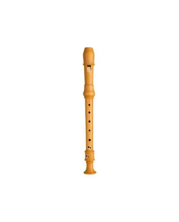 MOLLENHAUER DENNER 5107 FLUTE A BEC SOPRANO POIRIER Top Vente