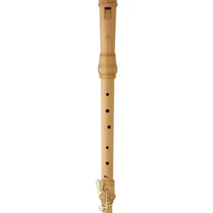 MOECK ROTTENBURGH 4424 FLUTE A BEC TENOR DOUBLES CLES EN BUIS Expédition Rapide