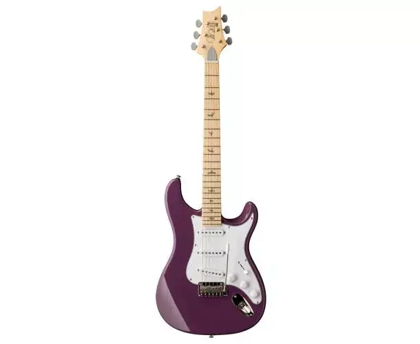 Promotion Saisonnière SE SILVER SKY MAPLE SUMMIT PURPLE