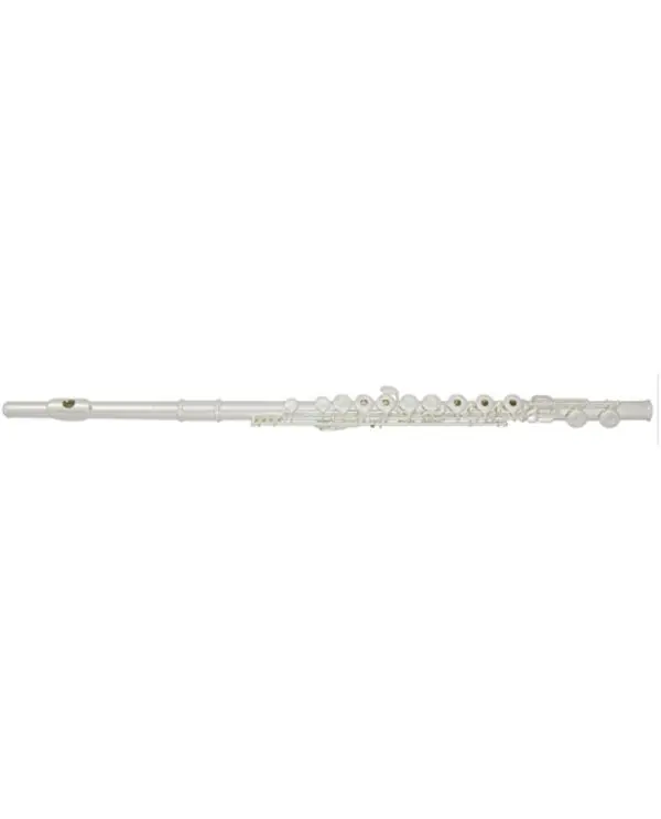 Remise TREVOR JAMES CANTABILE FLUTE TRAVERSIERE TETE ARGENT avec étui