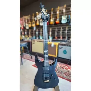 Offre Limitée E-II M-II SN/ES9313253 + GIG BAG