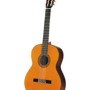 ESTEVE 9C/B GUITARE CLASSIQUE AVEC ETUI - Table en Cèdre Remise