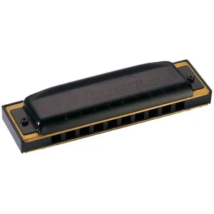 Retour Gratuit HOHNER MS PRO HARP HARMONICA 10 TROUS D