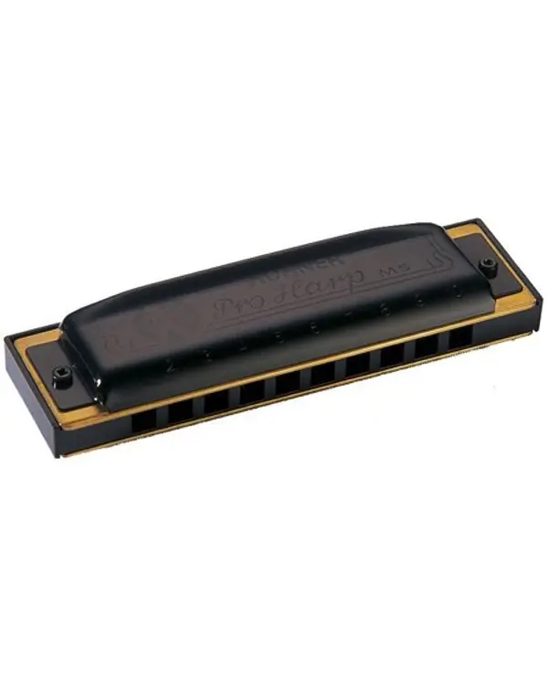 HOHNER MS PRO HARP HARMONICA 10 TROUS G Quantité Limitée