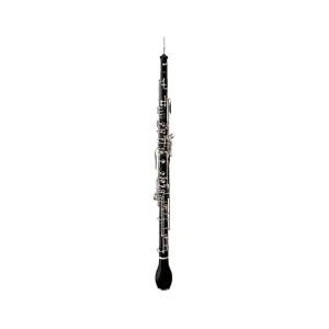RIGOUTAT RIEC COR ANGLAIS fournit avec étui sacoche et 2 bocaux Meilleur Choix