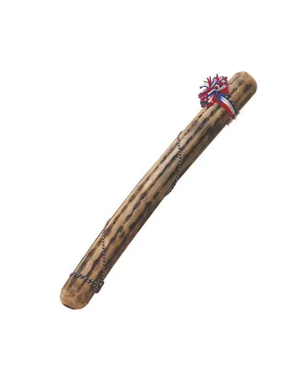 FUZEAU BATON DE PLUIE "CACTUS" 50 CM - REF 3658 Authentique