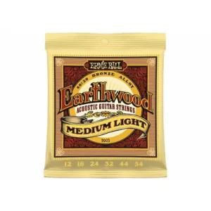 Commander Maintenant 2003 CORDES ACOUSTIQUES EARTHWOOD MEDIUM LIGHT