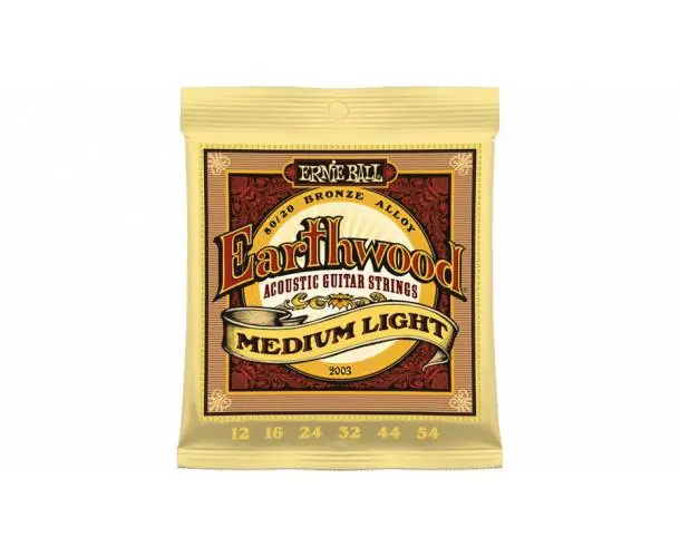 Commander Maintenant 2003 CORDES ACOUSTIQUES EARTHWOOD MEDIUM LIGHT