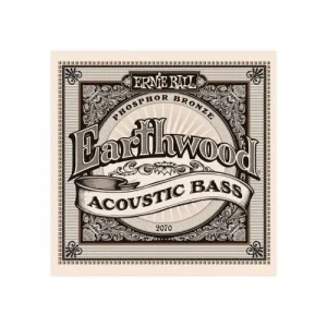 2070 EARTHWOOD CORDES BASSE ACOUSTIQUE Solde