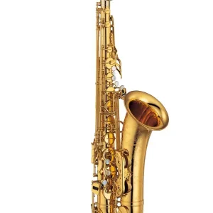 Affaire À Saisir YAMAHA YTS 875EX SAXOPHONE TENOR VERNI GRAVE avec étui et bec
