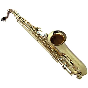 Commander Maintenant YAMAHA YTS 82Z SAXOPHONE TENOR JAZZ VERNI avec étui