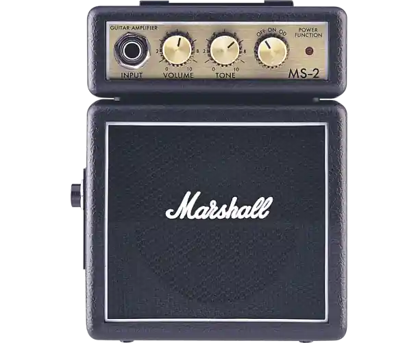 Super Prix AMPLI 2W MS2