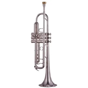 YAMAHA YTR 8335GS XENO TROMPETTE pavillon rose argentée avec étui Offre Limitée