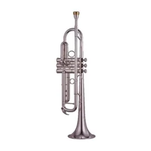 Prix Bas YAMAHA YTR 8335RG XENO TROMPETTE SIB pavillon rose vernie avec étui