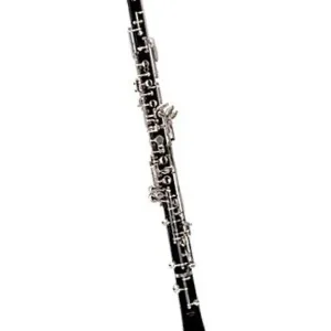 RIGOUTAT DELPHINE HAUTBOIS POUR ENFANT AVEC ETUI SACOCHE Vente Flash