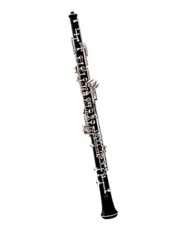 RIGOUTAT DELPHINE HAUTBOIS POUR ENFANT AVEC ETUI SACOCHE Vente Flash