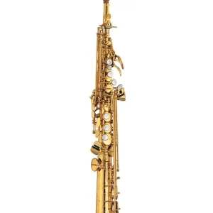 Dernière Chance YAMAHA YSS 875EX SAXOPHONE SOPRANO VERNI GRAVE avec étui et bec