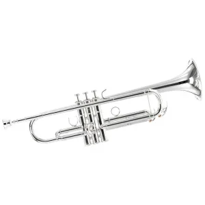 Dernière Chance YAMAHA YTR 5335GSII TROMPETTE SIB ARGENTEE pavillon cuivre rose +étui