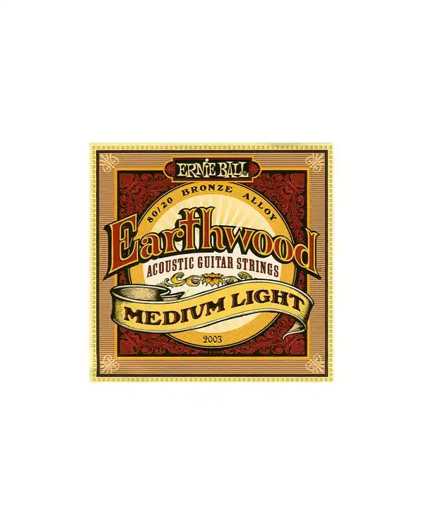 Prix Cassé ERNIE BALL 2003 EARTHWOOD MEDIUM LIGHT JEU CORDES GUITARE FOLK 12-54