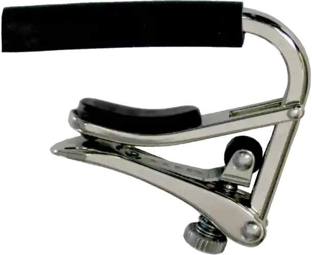 CAPO NICKEL ACOUSTIQUE/ELECT Livraison Express