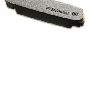 Offre Spéciale FISHMAN NEO-D02 MICRO ROSACE PASSIF HUMBUCKER