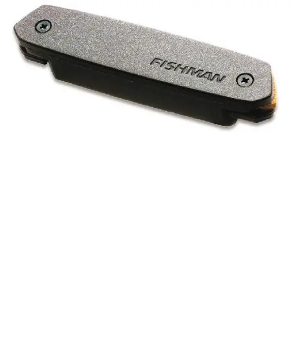 Offre Spéciale FISHMAN NEO-D02 MICRO ROSACE PASSIF HUMBUCKER