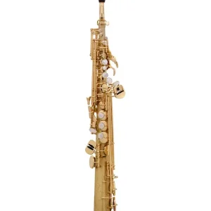 Offre Exclusive SELMER SERIE III JUBILEE SAXOPHONE SOPRANO BROSSE GRAVE étui/bec