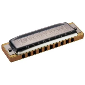 Prix Promo HOHNER MS BLUES HARP HARMONICA 10 TROUS D
