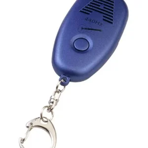 Commander Maintenant CHERUB DIAPASON ELECTR. GUITARE