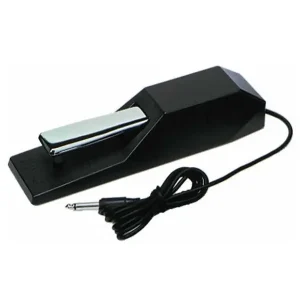 KORG DS-1H PEDALE SUSTAIN POUR PIANO NUMERIQUE ET CLAVIER KORG Livraison Express