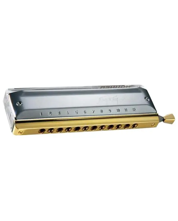 HOHNER AMADEUS HARMONICA CHROMATIQUE 12 TROUS C - Sommier Plexi Meilleur Choix