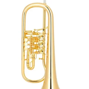 MIRAPHONE 25 1101A100 BUGLE A PALETTE AURIFIE - Avec étui Commander Maintenant