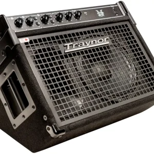 Traynor 10‘‘/200 Watt Combo Drum Amp Meilleur Choix