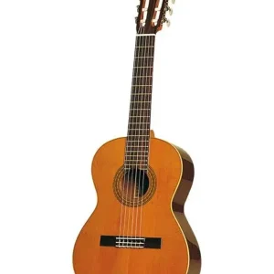ESTEVE 3Z GUITARE CLASSIQUE - Fond & éclisses Ziricote / Table cèdre Soldes