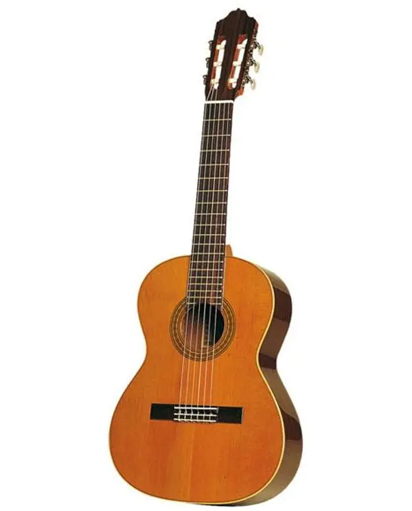 ESTEVE 3Z GUITARE CLASSIQUE - Fond & éclisses Ziricote / Table cèdre Soldes